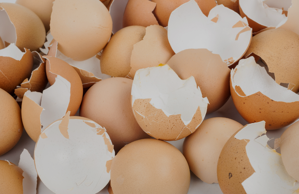 What is Florida’s Eggshell Doctrine and How Can it Affect Your Personal Injury Case?